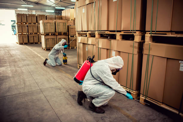 Best Affordable Pest Control Services  in Newfoundland, NJ