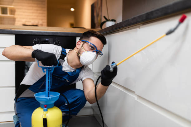 Wasp Removal Services in Newfoundland, NJ