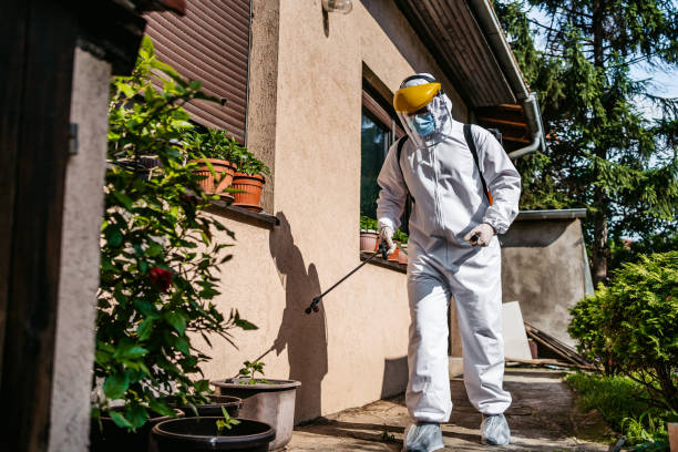 Best Wasp Removal Services  in Newfoundland, NJ