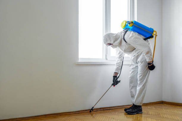 Best Best Pest Control Companies  in Newfoundland, NJ