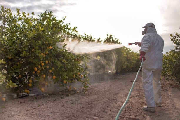 Best Exterminator Services  in Newfoundland, NJ