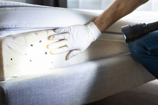 Best Mosquito Control Services  in Newfoundland, NJ