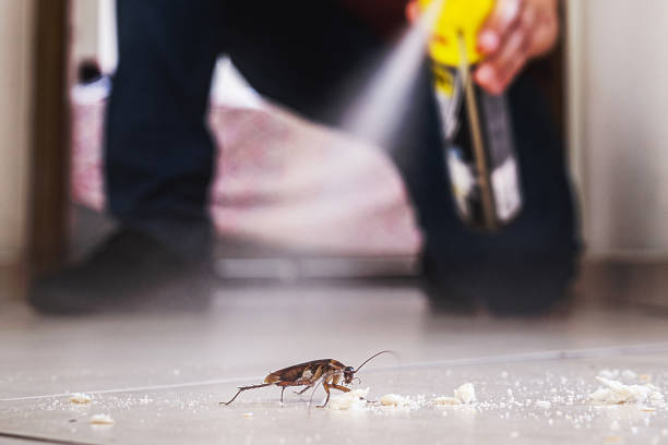  Newfoundland, NJ Pest Control Pros