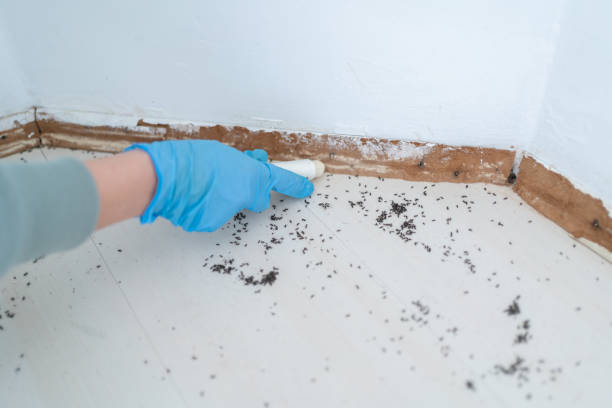 Professional Pest Control in Newfoundland, NJ